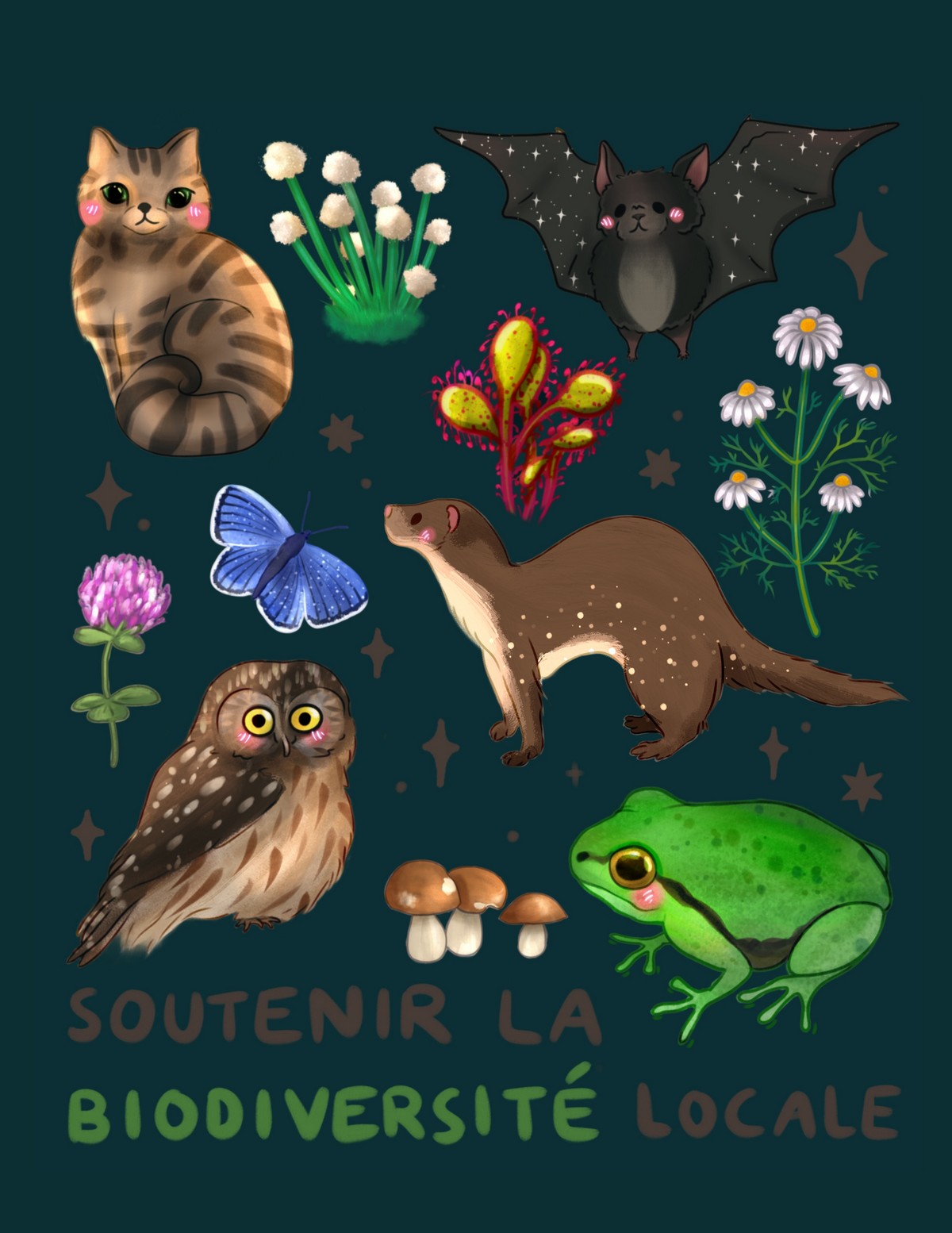 Nouvelle création 13